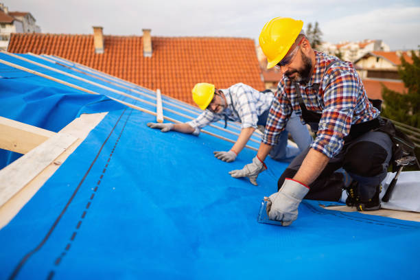 Best Metal Roofing Contractor  in Montrose, VA