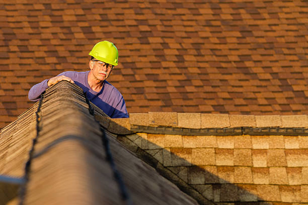 Best Roof Repair Services  in Montrose, VA